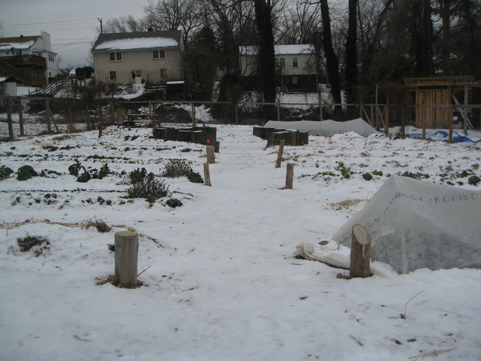The garden's winter sleep.