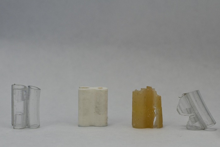 Evolution of Prototypes