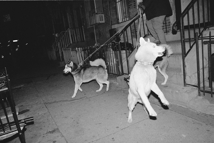 Brooklyn, New York - November 2011