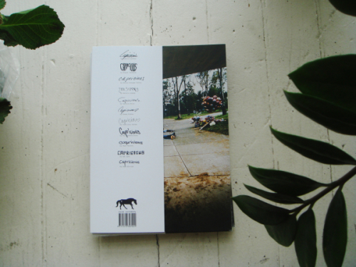 Capricious Magazine Mystery Pack