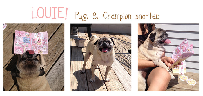 Meet Louie, and 8 year old Chicago Pug! He's a little old, so he can't eat TOO many sweets, but he sure does love The Hasty Pastry.