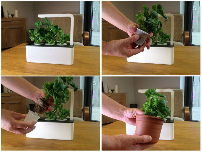 Akıllı Telefonla Bitki Yetiştirme Dönemi Başladı! 2 76ccc50126af8ece0a5c9453a007c969 large