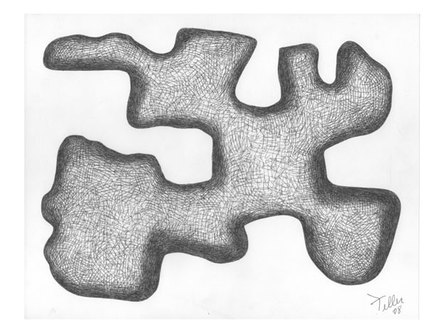 Untitled Bio #2. Ballpoint pen on paper. 8.5" x 11"