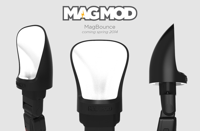 IMAGE: https://s3.amazonaws.com/ksr/assets/001/396/981/6cdecc0427b6cd07c6f0274f021322f8_large.jpg?1385914671