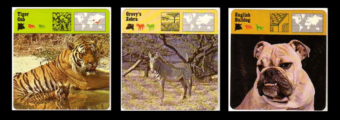 Safari Animal / Wildlife Cards like the ones my brother and I collected as kids