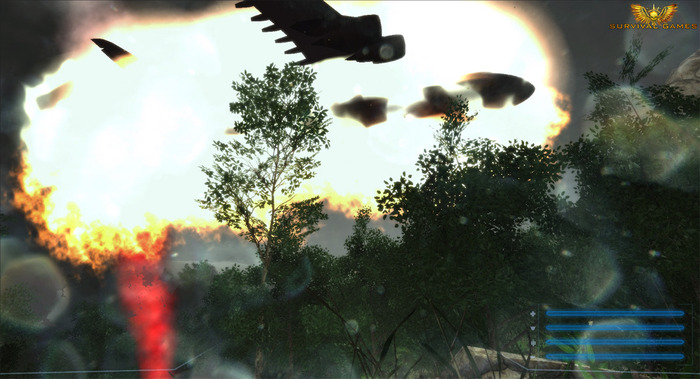 Supply plane down! (In-game screenshot)