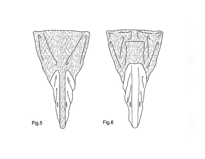 FIG. 5 is front view of the protective bicycle cover; and, FIG. 6 is a rear view of the protective bicycle cover.