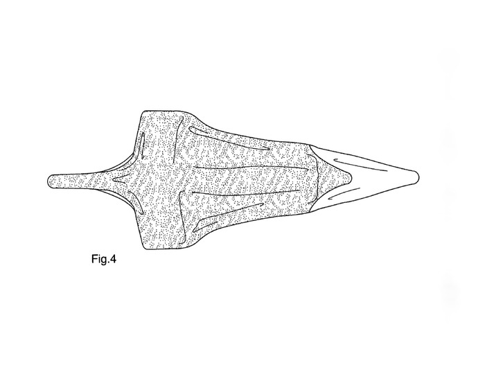 FIG. 4 is a top view of the protective bicycle cover;