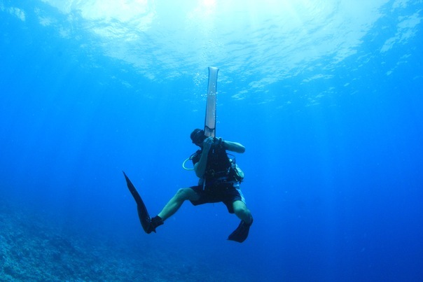 Olex. Co-founder. CEO