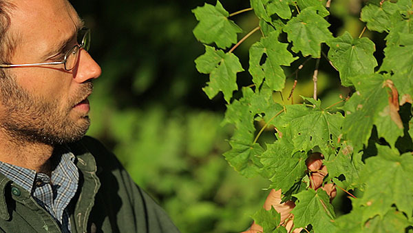 Mark Krawczyk teaching the basics of woody plant identification.