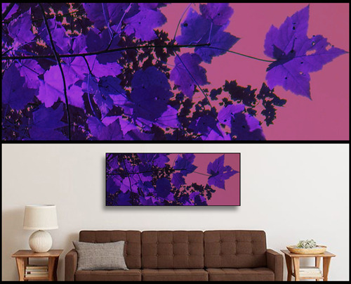 Fine Art Canvases