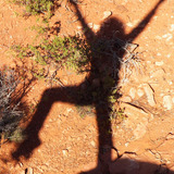 Tarasshadow.medium