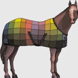 Horse%20blanket%20picture.medium