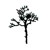 Tree_icon(2).medium