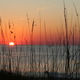 Beach%202008%20rich%20360.small