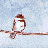 Perched_chickadee_2_icon.medium