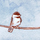 Perched_chickadee_2_icon.small