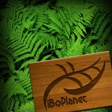 Twitter%20background.medium