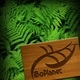 Twitter%20background.small