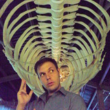 Whale%20belly%20skeleton%203%20in%20galway%20aquarium.medium