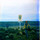 Duaflex04-08s.thumb