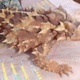 Avatar.small
