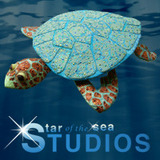 Turtle_logo.medium