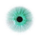 Iris.small
