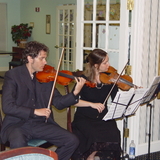Violin%203.medium