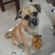 Dscf0525.small