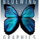 Bluewing02.small