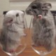 2%20mice%20in%20cups.small