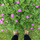4736125521_d0f8a4c66a_b.thumb
