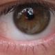Lefteyecrop.small