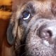 Fb_profile_picture.small