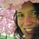 Cherry_blossom.small