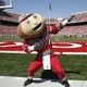 Ohio-state-university-football-2008-season-brutus-buckeye-poses-in-stadium-o-f-2008-00146md.small