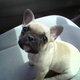 Fb_profile_picture.small
