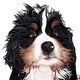 Rub-a-dub-dub_icon.small