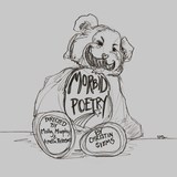 Stephslevin.medium