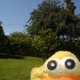Fb_profile_picture.small
