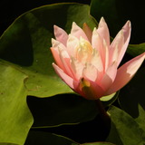 Dscn3346.medium