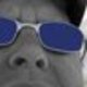 Fb_profile_picture.small