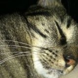 Fb_profile_picture.medium