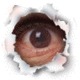 Eye.small
