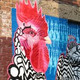 Rooster.small