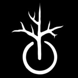 Logo.medium