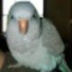 Fb_profile_picture.small