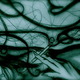 Photo-13_2.small