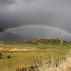 Rainbow.small
